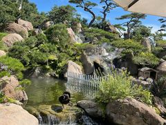 -罗红摄影艺术馆