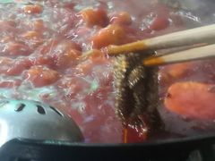 鲜毛肚-星鸿社重庆老火锅