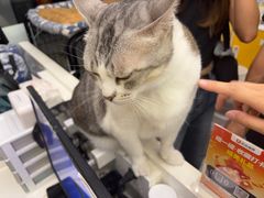 -谜盒子奇幻密室(南屏店)