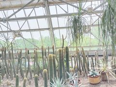 -南山植物园