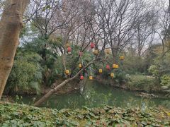 -杭州城北体育公园