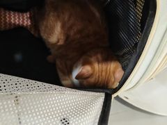 -阿荣24H宠物医院·综合型转诊中心·CT·核磁影像中心