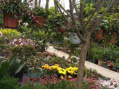 -金科花卉市场