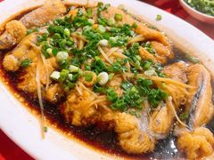 -先鲜鲫鱼粥
