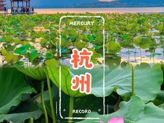 -西湖游船