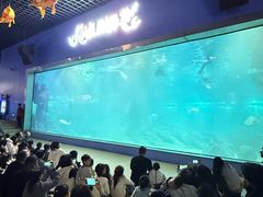 -福州罗源湾海洋世界旅游区