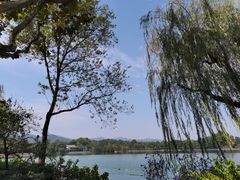 -浙江西湖美术馆