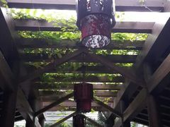 android_upload_pic-龙达温泉生态城