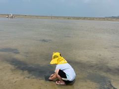 -红树林天天赶海