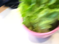 特别贵生菜-刘炭长牛烧大块烤肉(珠海香洲店)