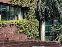 -香港大学
