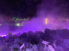 -鹅湖玫瑰文化园