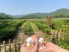 -中国茶叶博物馆(双峰馆区)