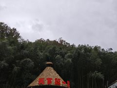 -栾川竹海野生动物园