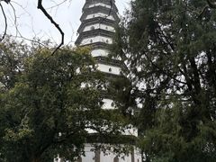 -中天楼