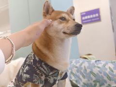-怪兽屋·羊驼·猫咖·狗咖(俊华广场店)