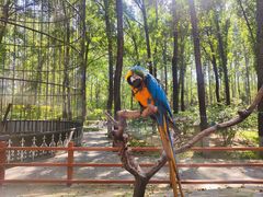 -北京野生动物园