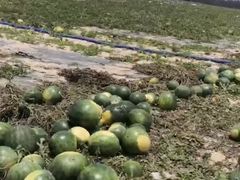 -文昌铺前老街