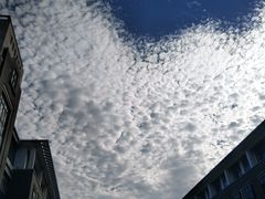 -上海海洋大学(临港校区)