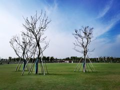 -春花秋色城市公园