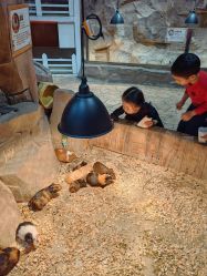 -宝燕乐园(闵行旗舰店)