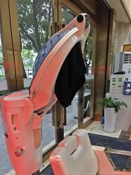 -碧莲盛·不剃发植发