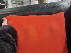 -上海德星奔驰(江杨南路店)