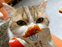 -盒马鲜生(红莲店)