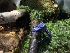-暹罗海洋世界