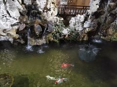 -香雪海饭店中餐厅(人民桥店)