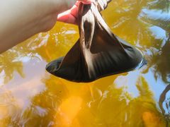 -三亚珠江南田温泉度假区