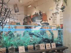-懒鱼时光馆(沙坪坝店)