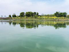 -九龙湖公园