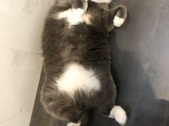 -乐果甜心·潮汕冰室(南澳后宅分店)