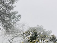 -缙云山景区
