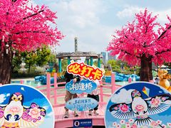 -南湖梦幻岛
