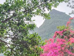 -长寿村