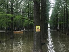 -渌洋湖湿地公园