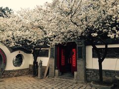 -老张烤羊(王哥庄店)