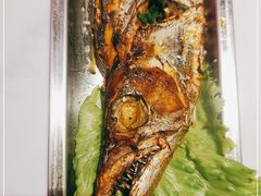 -哈力家·西北烧烤烤串(凤城三路店)