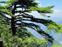 -黄山风景区