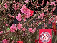 -珠海中海雅高铂尔曼酒店