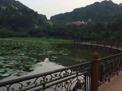 iphone_upload_pic-广州碧桂园凤悦凤凰城酒店