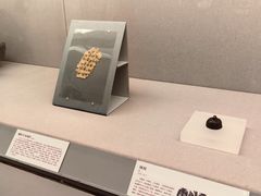 -北京大学赛克勒考古与艺术博物馆