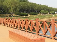-丁香湖公园