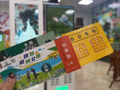 -西双版纳原始森林公园