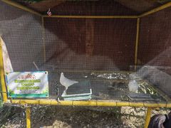 -汕尾铜鼎山旅游区