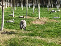 -艾溪湖湿地公园