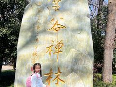 -灵谷景区