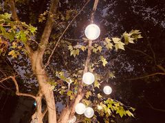 -Ginger(兴国路店)